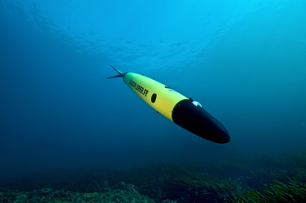 A torpedo-shaped robot underwater.