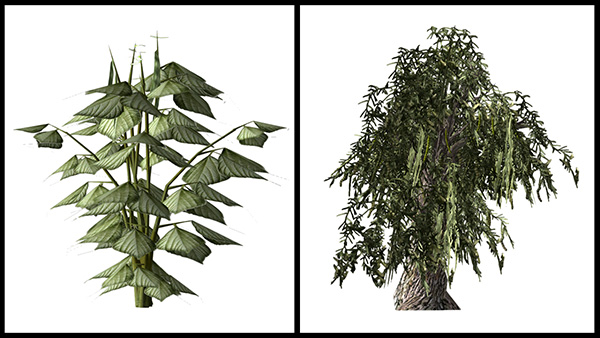 Images of plants from the video game.